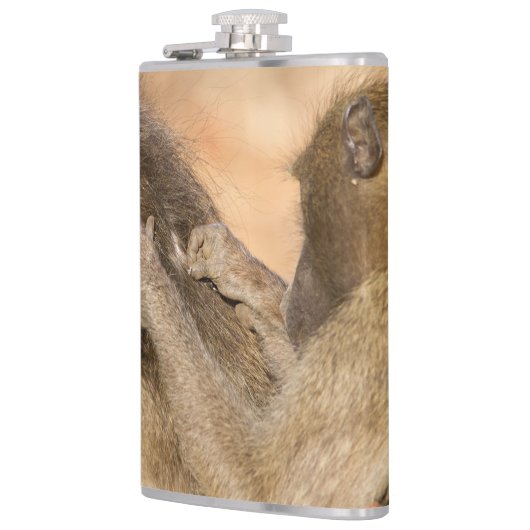 Flasques Grooming baboons (Gauche)