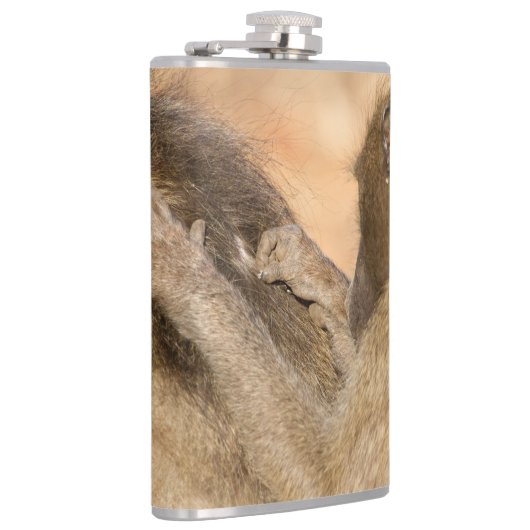 Flasques Grooming baboons (Droite)