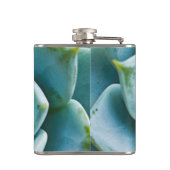 Flasques Gros plan sur une succulente (Dos)