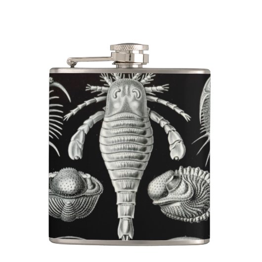 Flasques Haeckel Aspidonia (Devant)