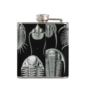 Flasques Haeckel Aspidonia (Dos)