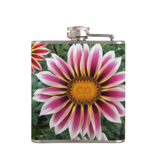 Flasques Hereford (Dos)