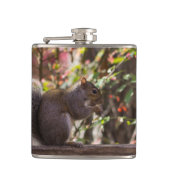 Flasques Heure des écureuils (Devant)