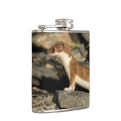 Flasques Huile de chasse (Droite)