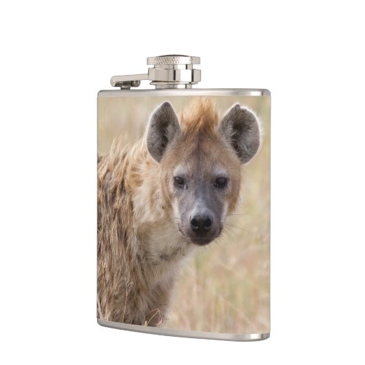 Flasques Hyena (Gauche)