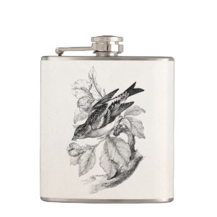 Flasques Illustration d'oiseau de pinson de montagne de