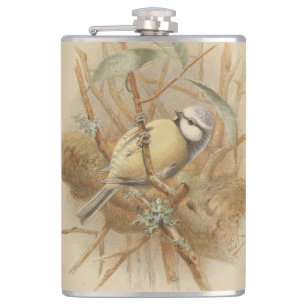 Flasques Illustration vintage de Mésange bleue