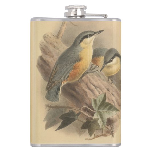 Flasques Illustration vintage de Nuthatch (Dos)
