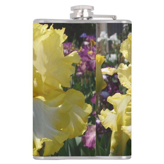 Flasques Iris Iris Iris Jaune Iris Fleurs florales (Dos)