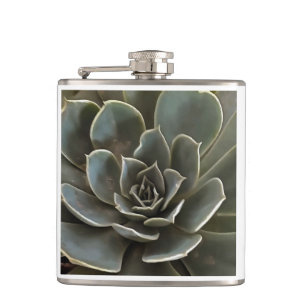 Flasques Jardin Succulent Vert Gris Tons Art Réaliste