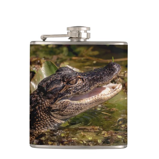 Flasques Jeune Alligator (Devant)