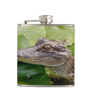 Flasques Jeune Alligator
