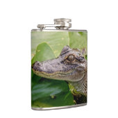 Flasques Jeune Alligator (Droite)