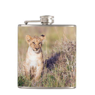 Flasques Jeune lion