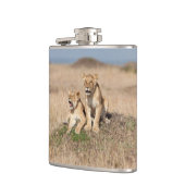 Flasques Jeunes lions (Gauche)