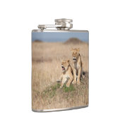 Flasques Jeunes lions (Droite)