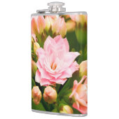 Flasques Kalanchoe calandiva (Gauche)