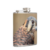 Flasques Kestrel américain (Droite)