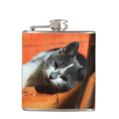 Flasques Kitten (Devant)