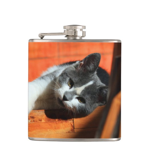 Flasques Kitten (Devant)