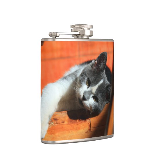 Flasques Kitten (Droite)