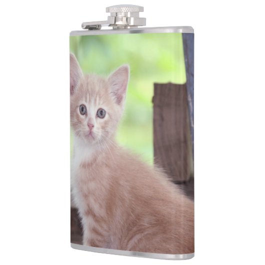 Flasques Kitten (Gauche)