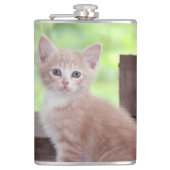 Flasques Kitten (Devant)