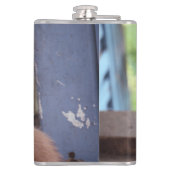 Flasques Kitten (Dos)