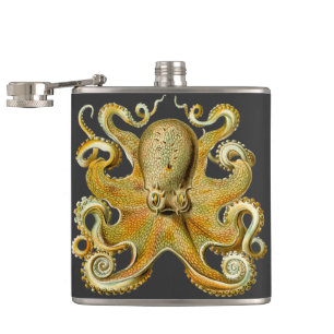 Flasques Kraken vintage, Octopus Gamochonia, Ernst Haeckel