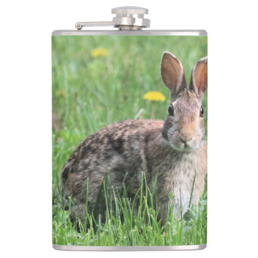 Flasques Lapin (Devant)