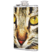 Flasques L'apparence expressive d'un chat domestique (Gauche)