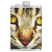 Flasques L'apparence expressive d'un chat domestique (Devant)