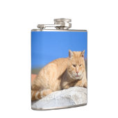 Flasques Lazy (Droite)