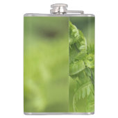 Flasques Le feuille de bordage de fougère, verdure, a (Dos)