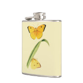 Flasques Le papillon Colias de Godart (Gauche)