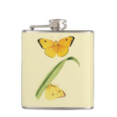 Flasques Le papillon Colias de Godart (Devant)