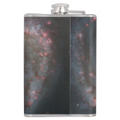 Flasques Le Whirlpool Galaxy M51 & Companion dans l'espace (Dos)