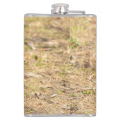 Flasques L'écureuil mignon mange une photo de noix (Dos)