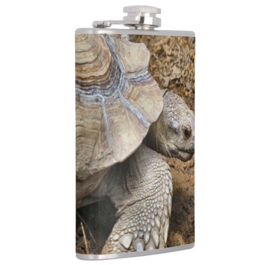 Flasques Lent (Droite)