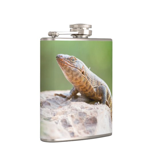 Flasques Lézard plaqué (Droite)