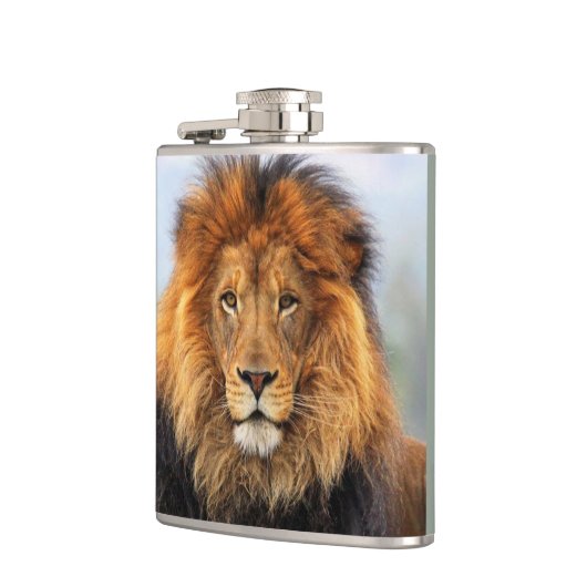 Flasques Lion d'Afrique 1 (Gauche)