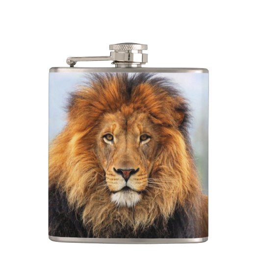 Flasques Lion d'Afrique 1 (Devant)