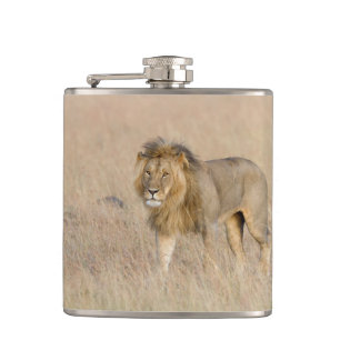 Flasques Lion marche