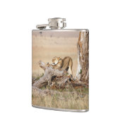 Flasques Lioness stretching (Gauche)