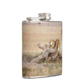 Flasques Lioness stretching (Droite)