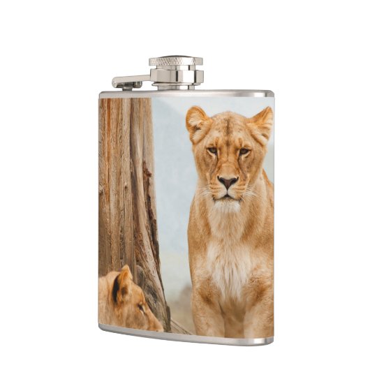 Flasques Lions (Gauche)