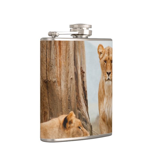 Flasques Lions (Droite)