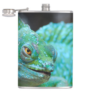 Flasques Lizard
