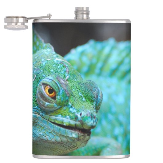 Flasques Lizard (Ouvert)