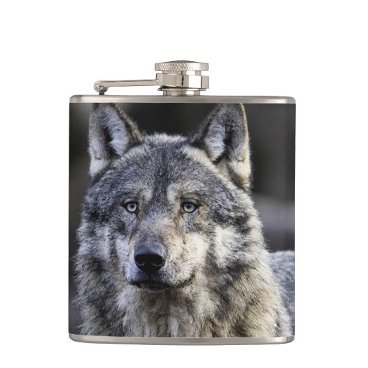 Flasques Loup gris (Devant)